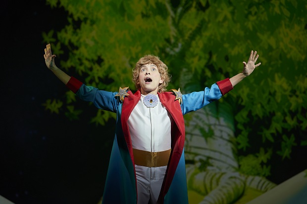 Imatge d''El Petit príncep' / David Ruano-La Perla29