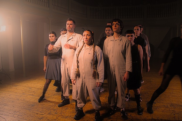 Ros / Segell Microscopi