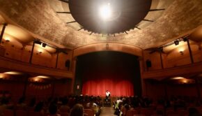 Festival Floral / David Casany